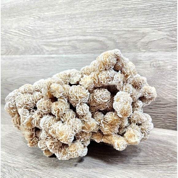Desert Rose Selenite Natural Raw Gemstone Mineral Crystal Sand Rose Stone 6.5lbs - Picture 6 of 15
